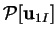 $\displaystyle \mbox{$\mathcal P$}[\mathbf{u}_{1I}]$